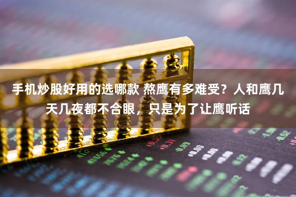 手机炒股好用的选哪款 熬鹰有多难受？人和鹰几天几夜都不合眼，只是为了让鹰听话