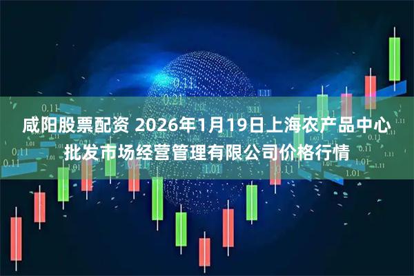咸阳股票配资 2026年1月19日上海农产品中心批发市场经营管理有限公司价格行情