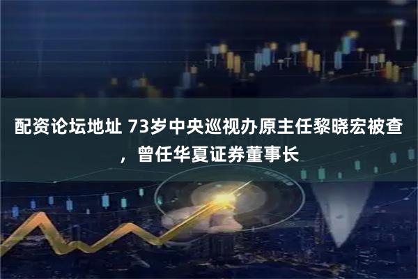 配资论坛地址 73岁中央巡视办原主任黎晓宏被查，曾任华夏证券董事长