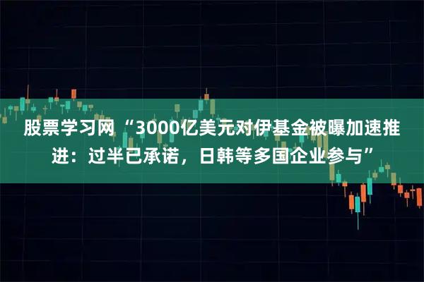 股票学习网 “3000亿美元对伊基金被曝加速推进：过半已承诺，日韩等多国企业参与”
